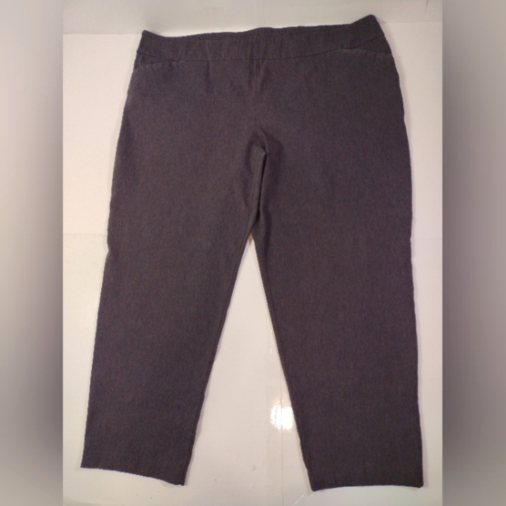 Terra & Sky Gray Casual Pants Size (3X)